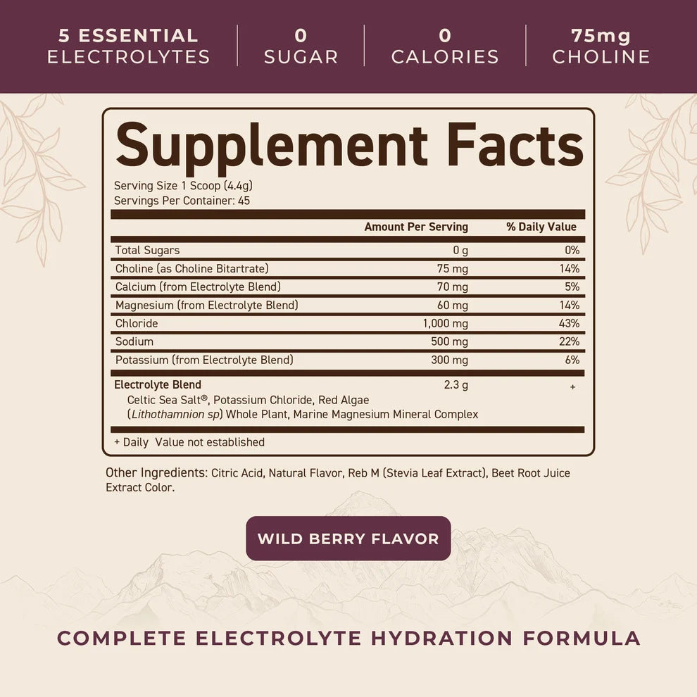 Ancestral Electrolytes - 200 gram