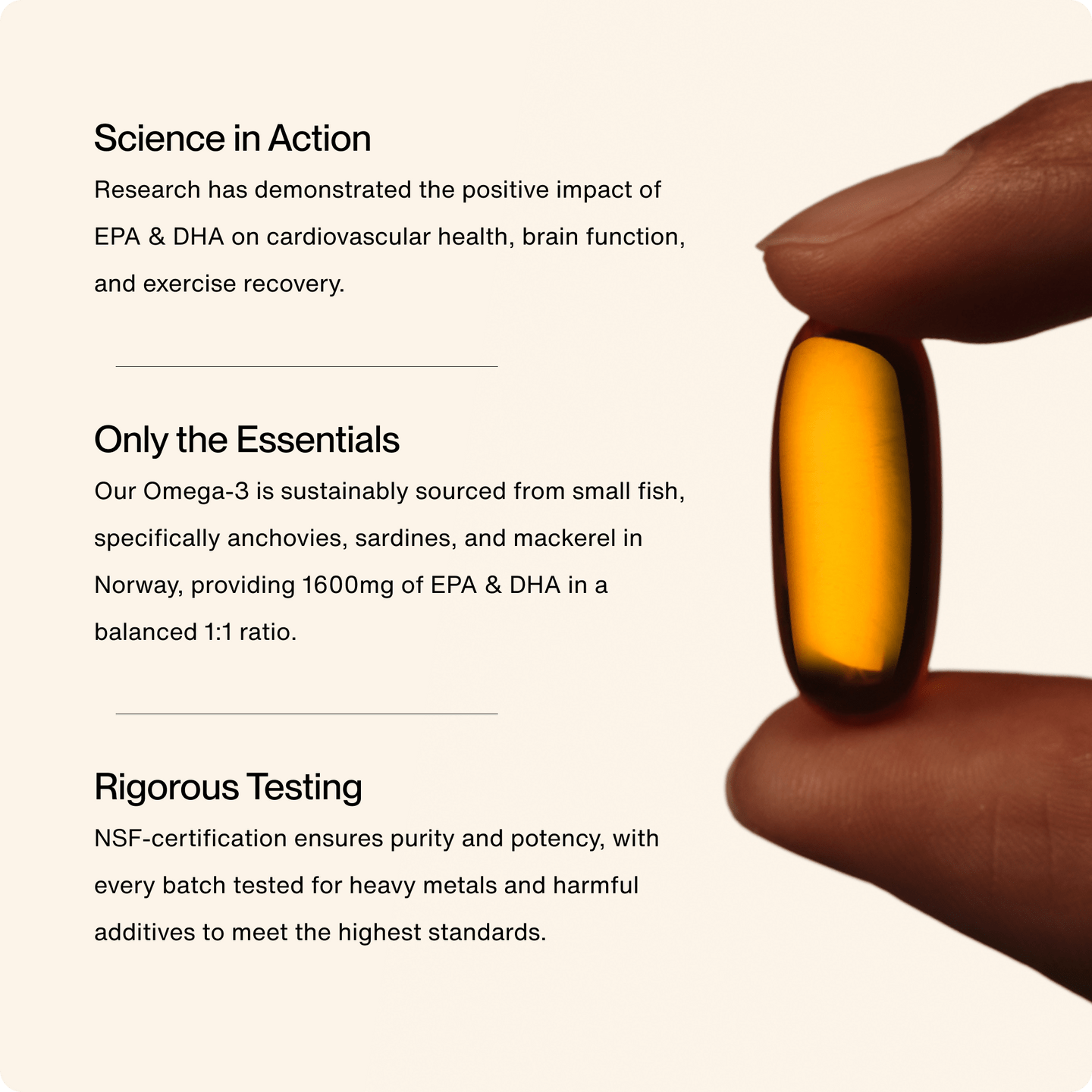 Omega - 3 Travel Packs - Newtra
