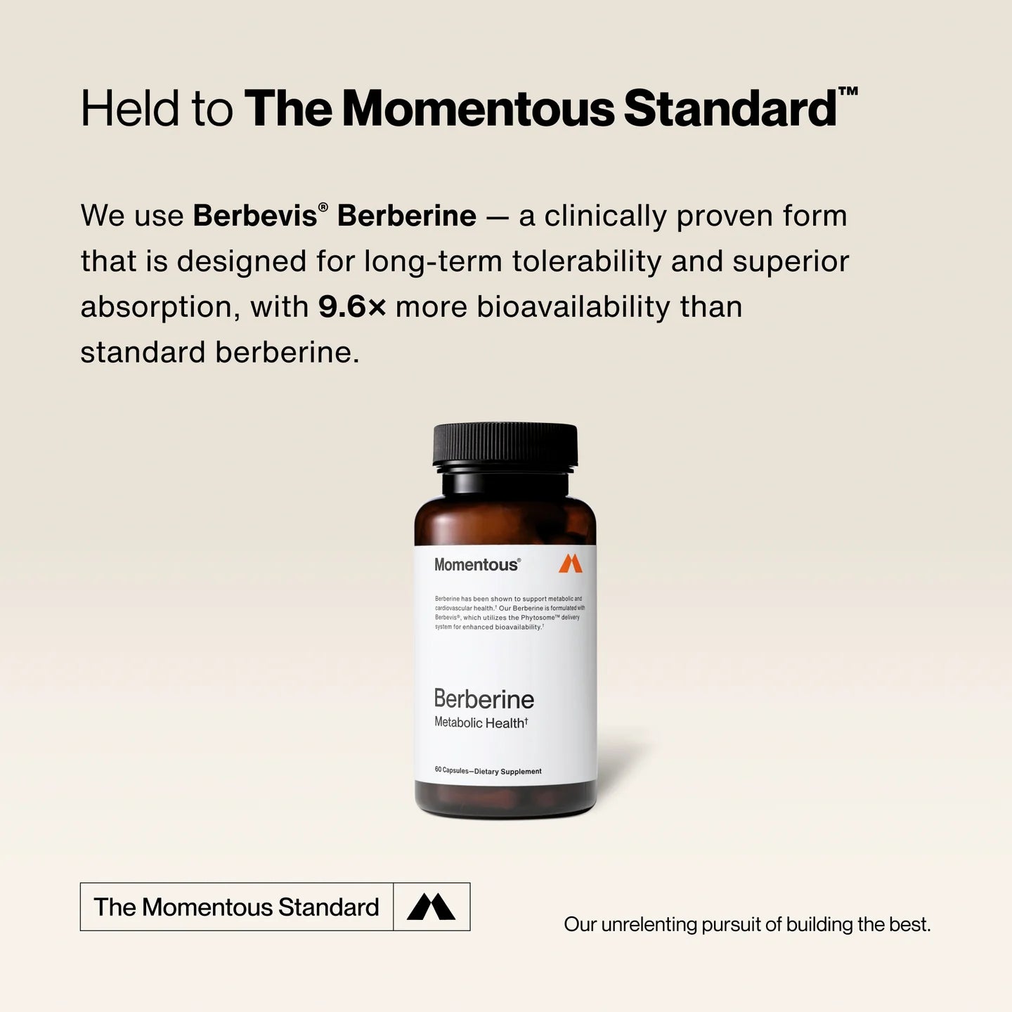 Berberine - 60 capsules - Newtra